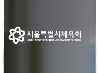 서울시 체육회 여자축구부